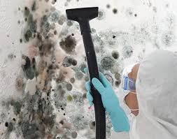 Best Commercial Mold Inspection  in Kasson, MN